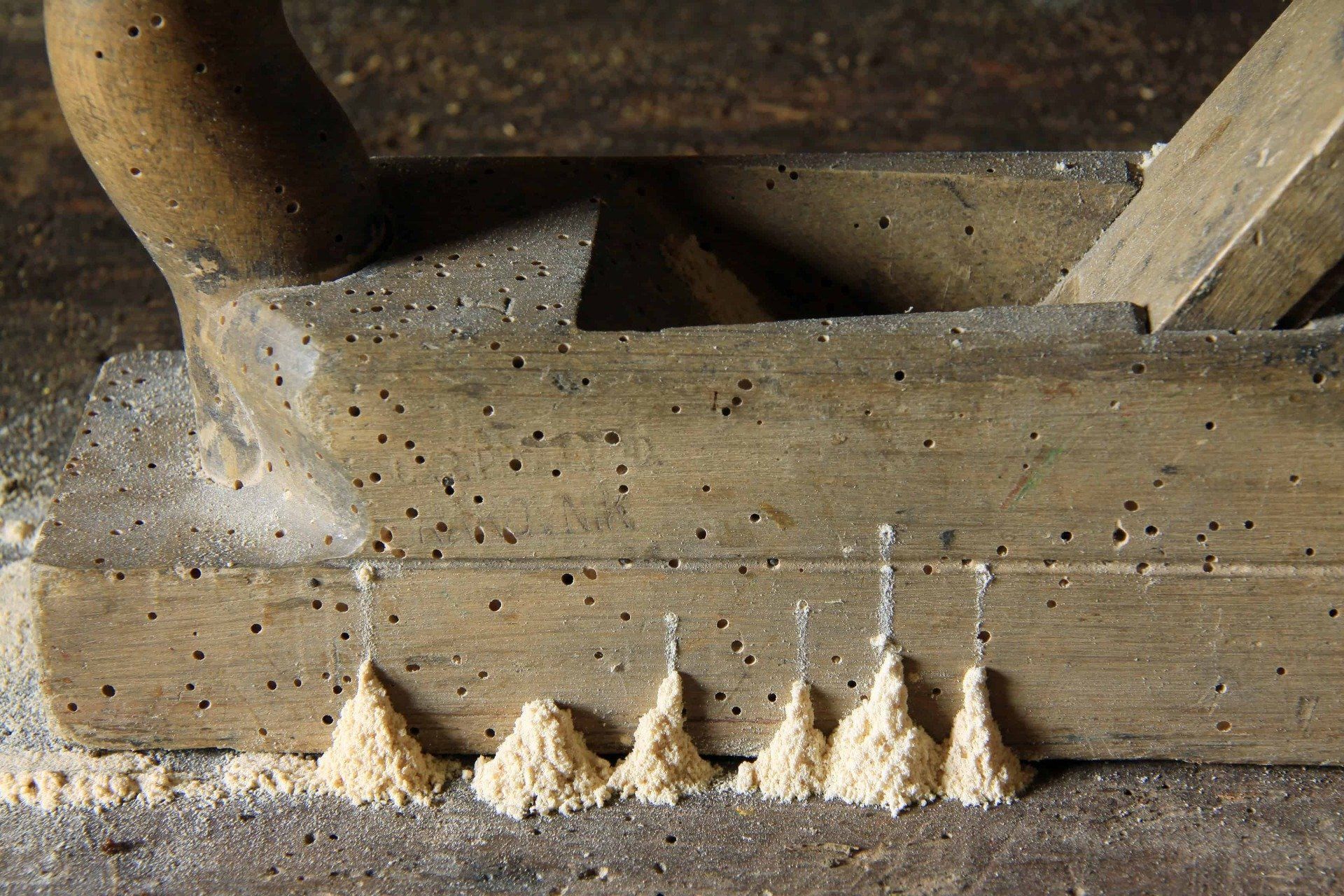 disinfestanti del legno