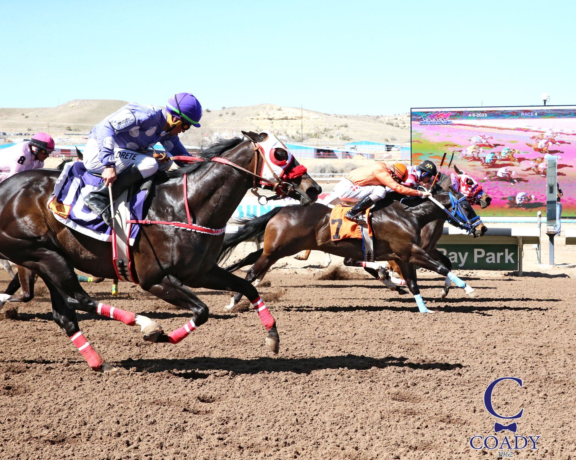 horse racing simulcast