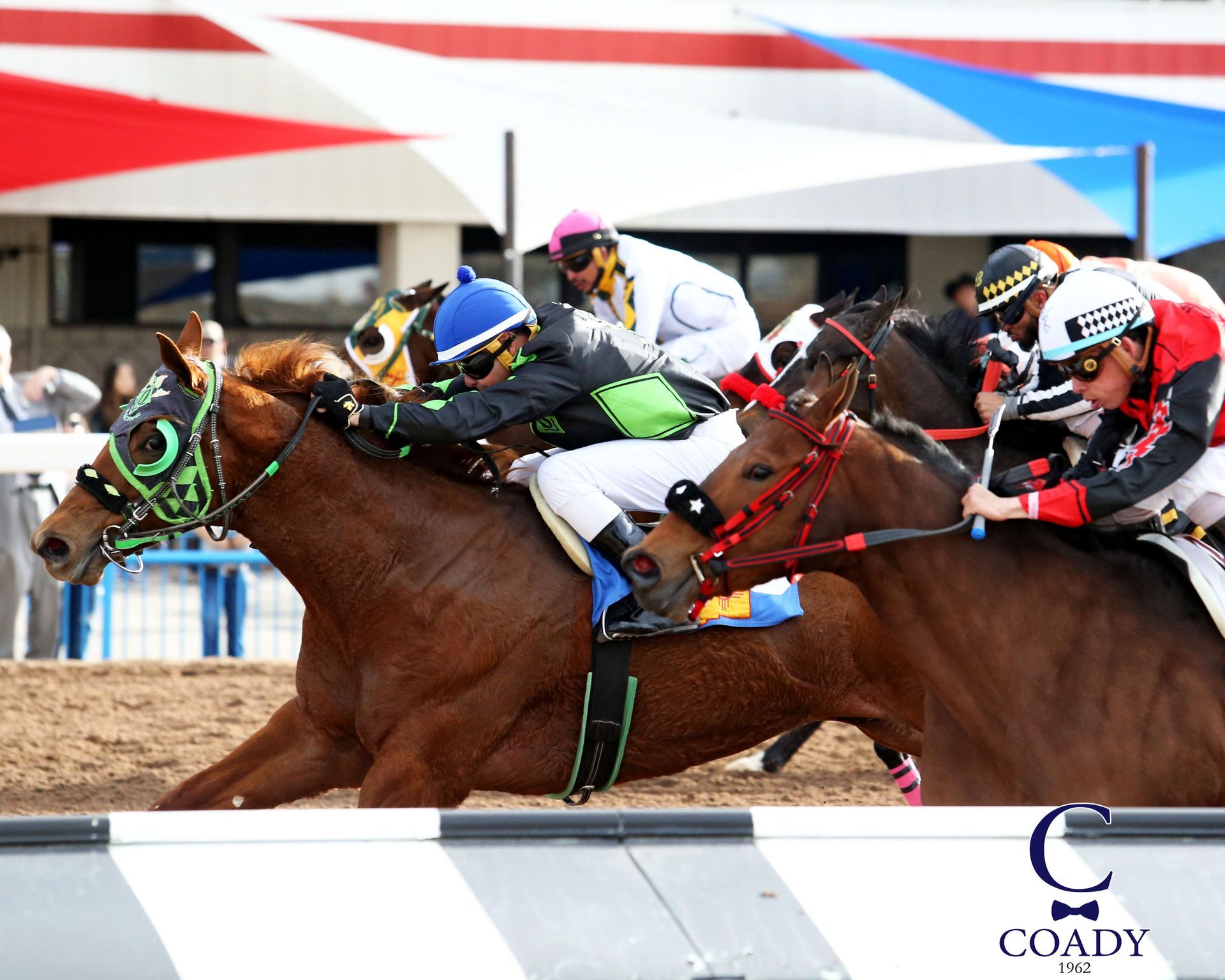 Live horse racing