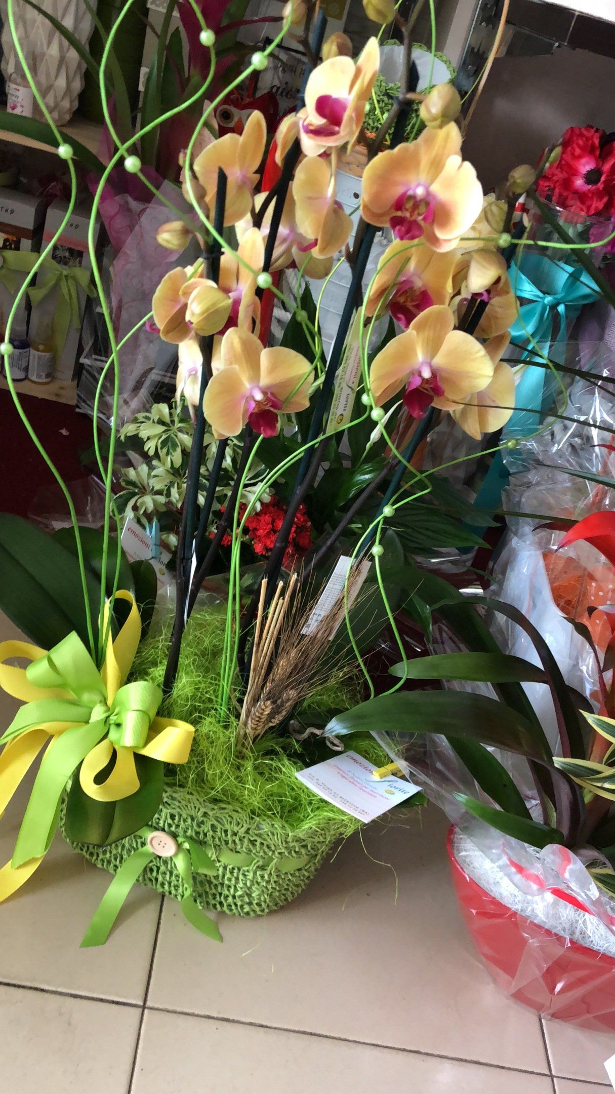 fiori
