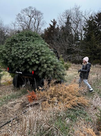 Home | Aldag Acres Christmas Tree Farm | Norfolk, NE