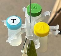 A bunch of bottles are sitting on top of each other on a rack.