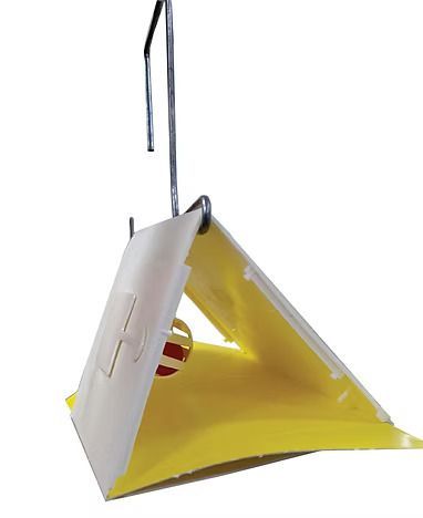A yellow and white triangle is hanging from a hook on a white background.