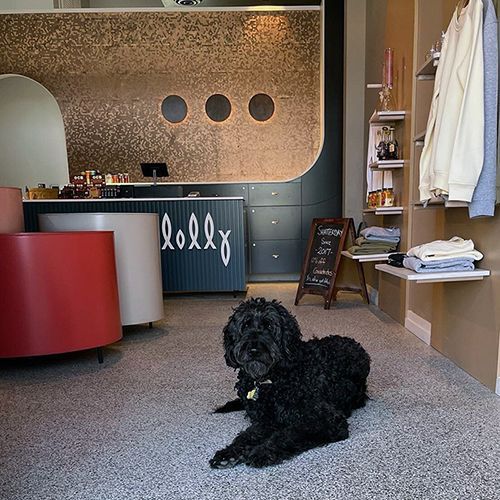 A fluffy black dog lies on a speckled floor inside a shop with a gold-textured wall, service desk, and clothing display.
