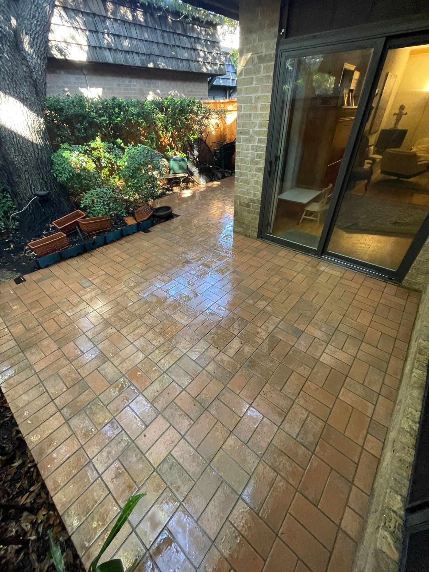 Cleaned Backyard – Fort Worth, TX – Dorsal Professional Services