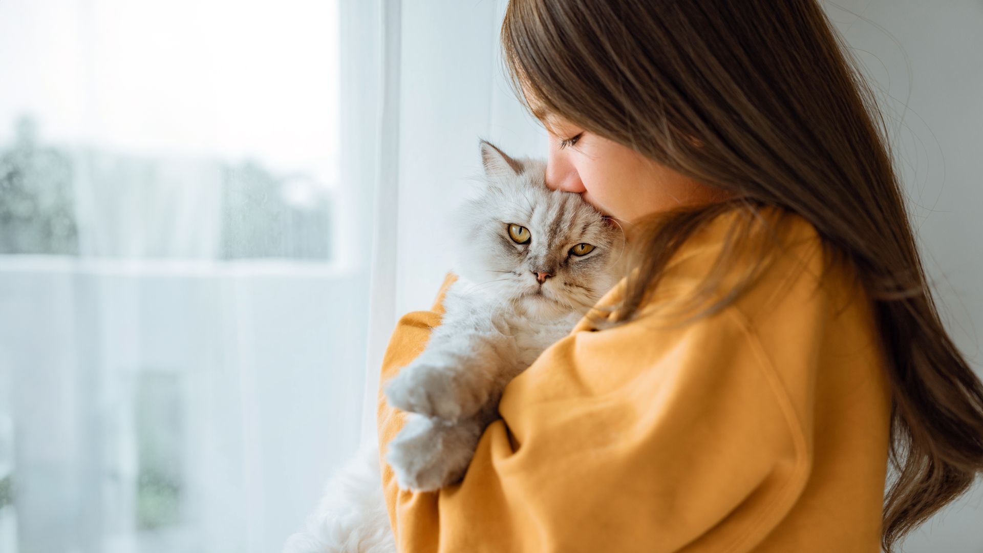 Woman holding a fluffy gray cat near a bright window