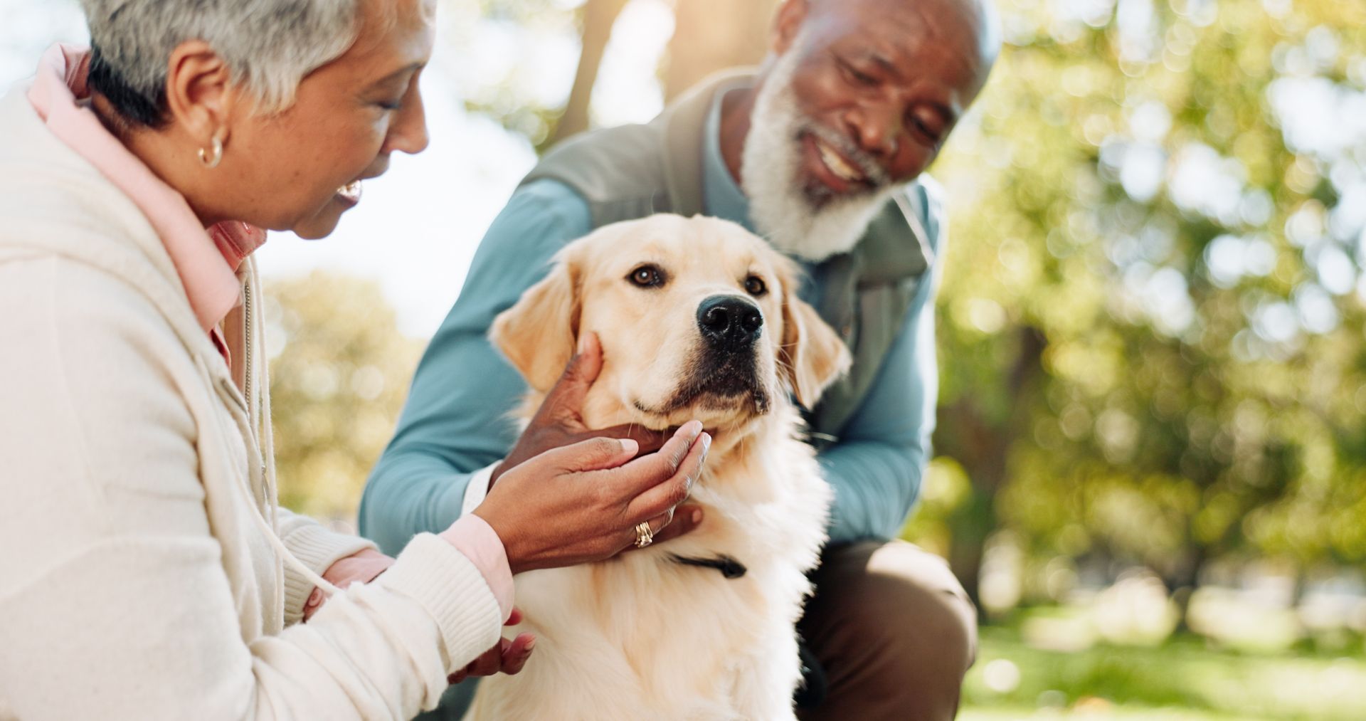 Two people gently pet a golden retriever outdoors in a sunny park.