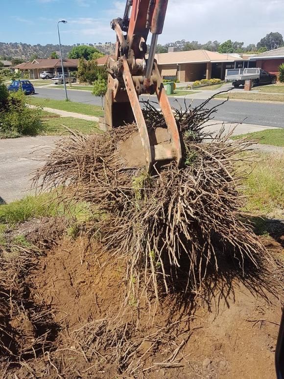 A Pile Of Branches Is Being Scooped Out Of The Ground By An Excavator — Grants Excavations In Osbornes Flat, VIC