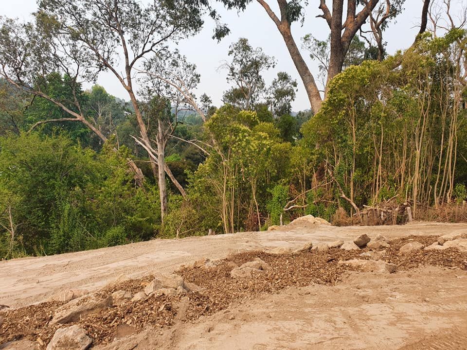 A Dirt Road Going Through A Forest With Trees In The Background — Grants Excavations In Osbornes Flat, VIC
