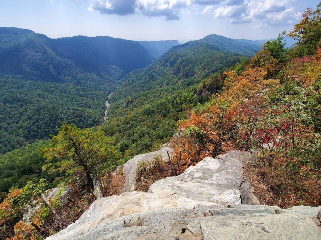 a view of a valley from the top of a mountain .