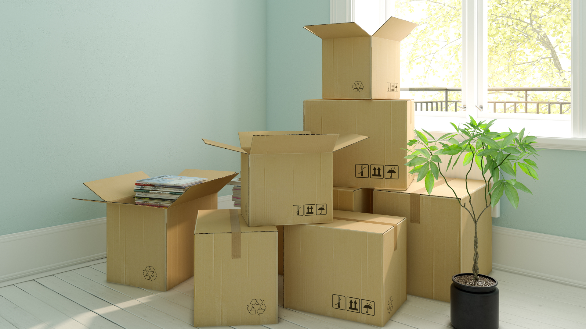 Stacked cardboard moving boxes in a bright room beside a window and potted plant.