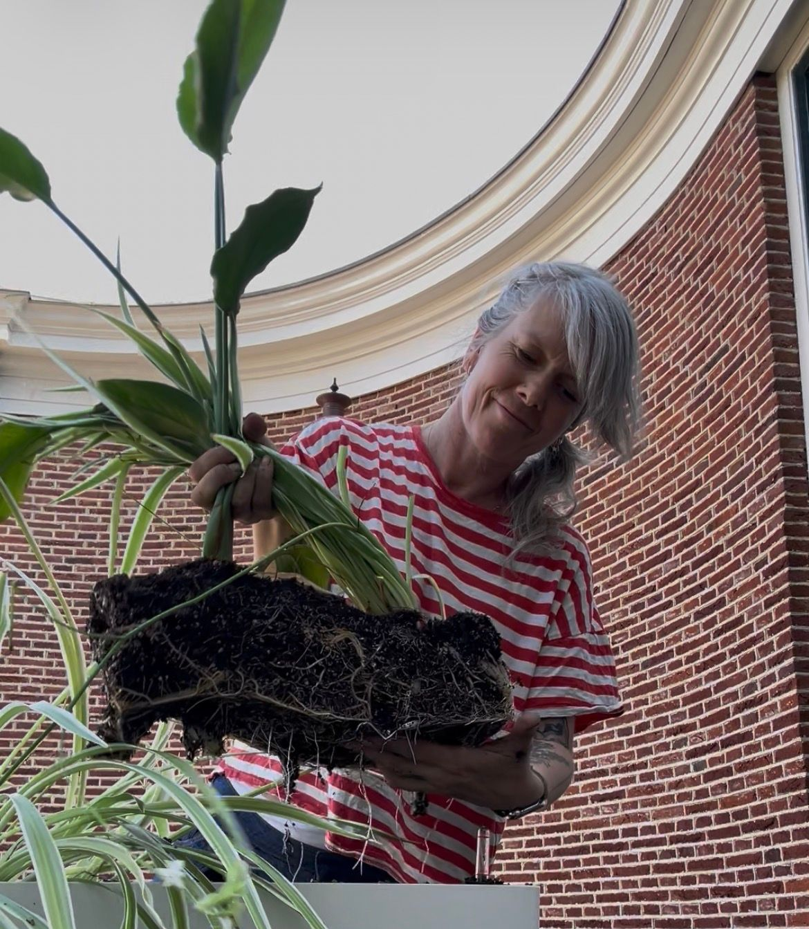 A woman happily smiling with a bunch of plants in her hand, showing you the rootball and soil.