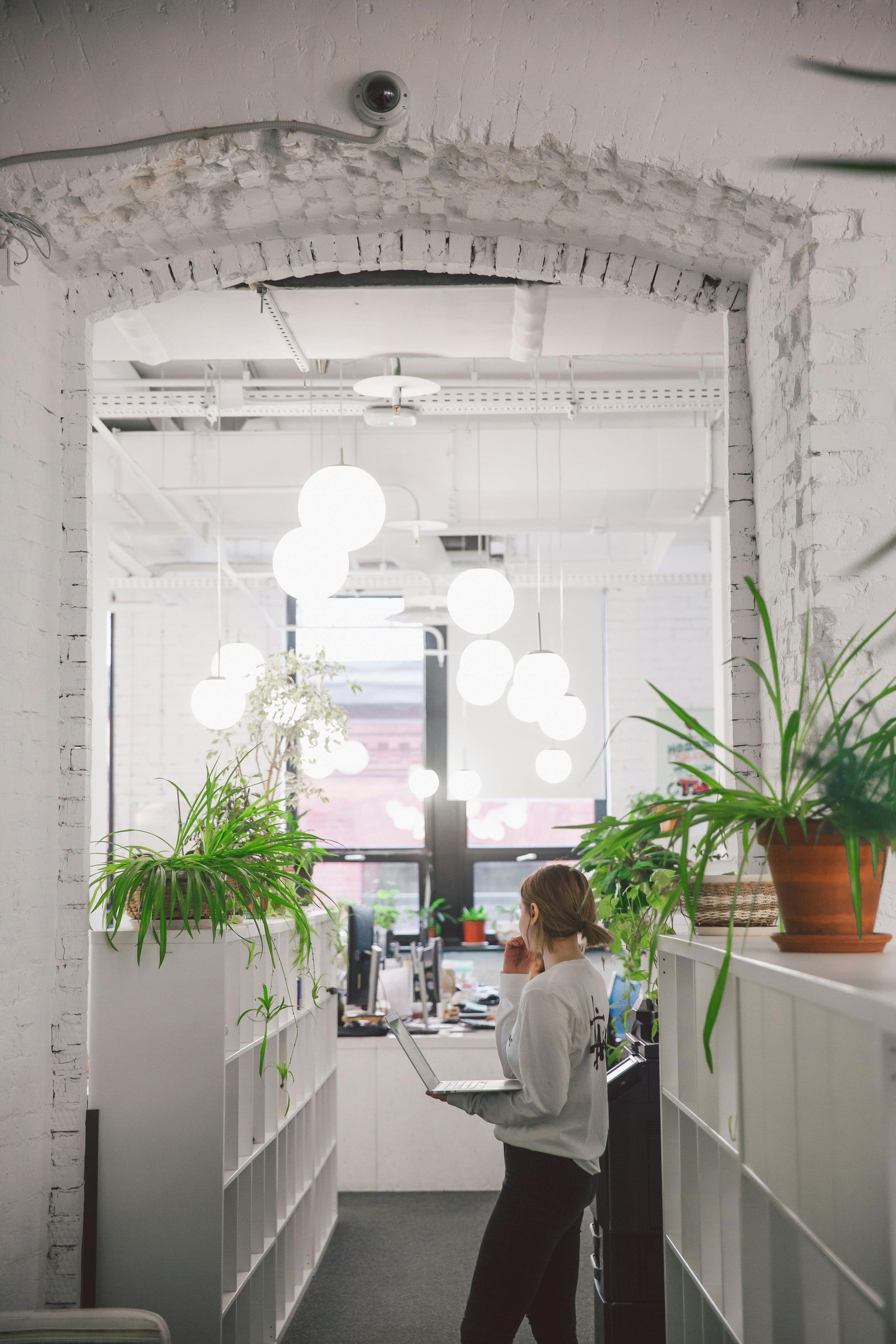 photo of a white office space, a healthy plant on a cabinet and an empl
oyee standing with a laptop