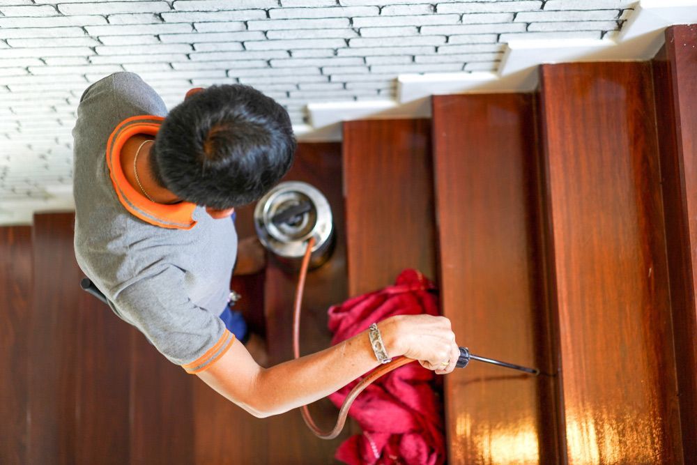 Preventing Pest Reinfestation
