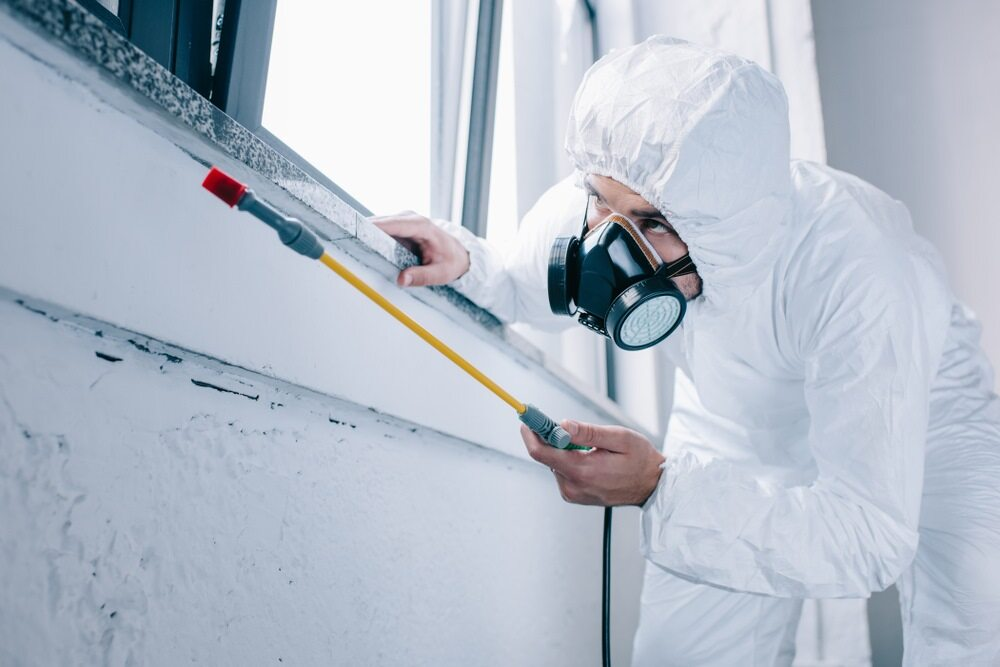 man doing pest treatment