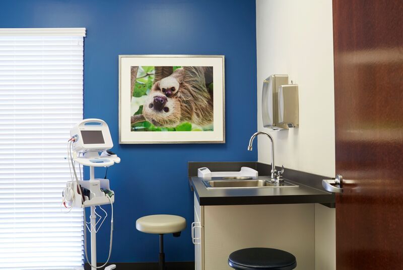 A doctor 's office with a picture of a sloth on the wall