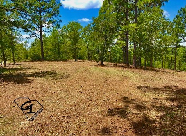 Cleared sandy lot with tire tracks, trees around the edges, and a metal fence on the right.