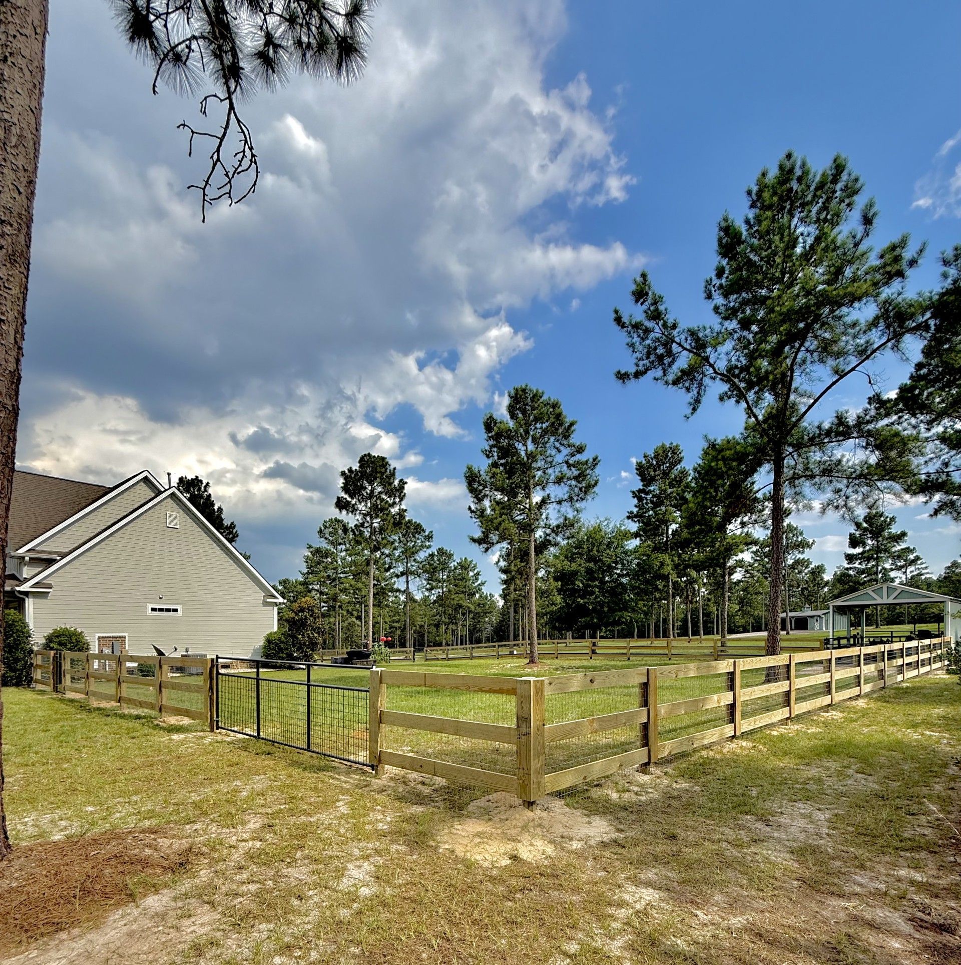 New wooden fence panels along a dirt yard beside trees