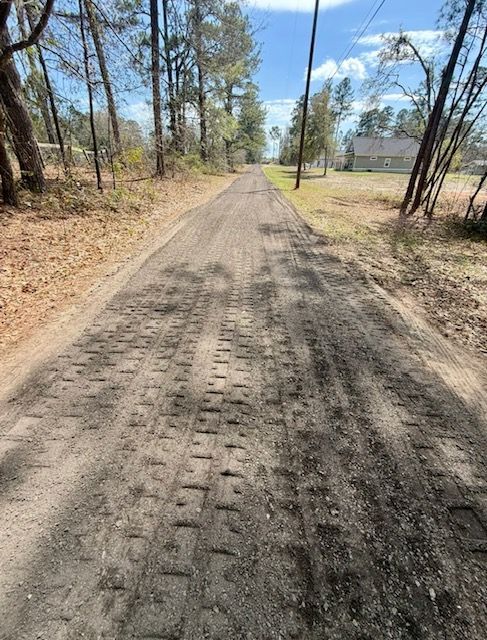 Sunny dirt road through a dry, wooded area, with tire tracks and sparse trees on both sides.