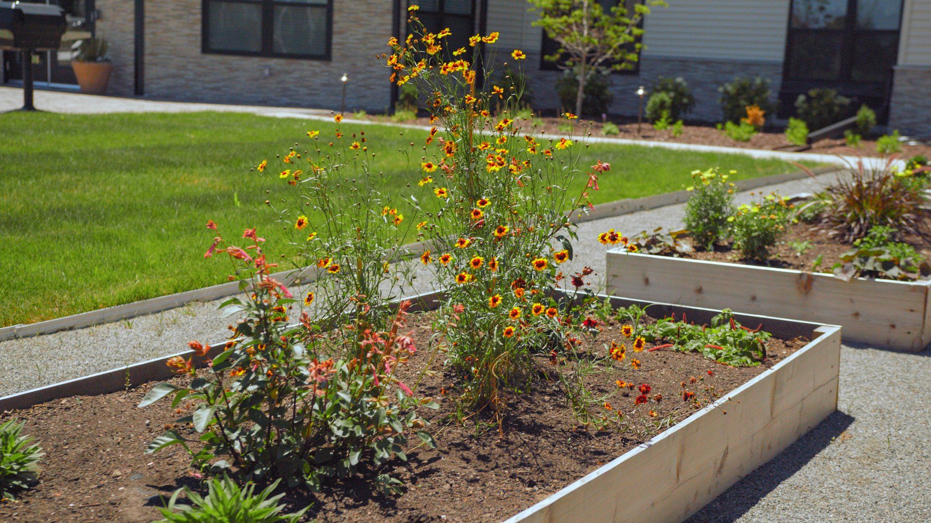 Out door planter