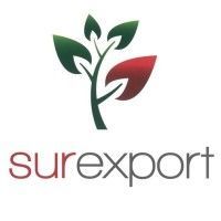 Logotipo para Surexport: hojas verdes y rojas brotan de un tallo gris, nombre de la empresa debajo en rojo y gris.