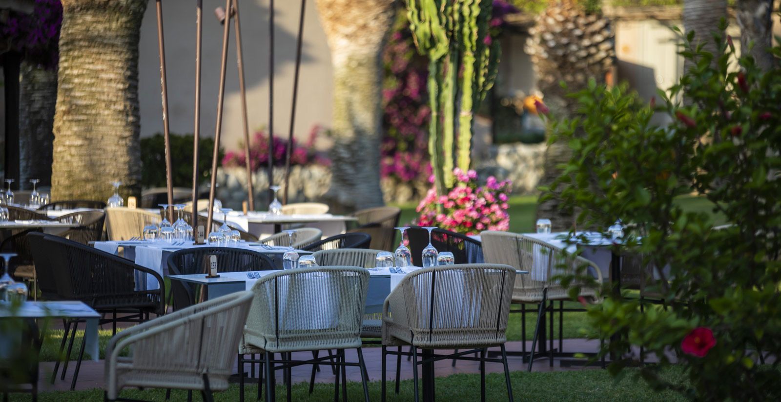 wellness terras