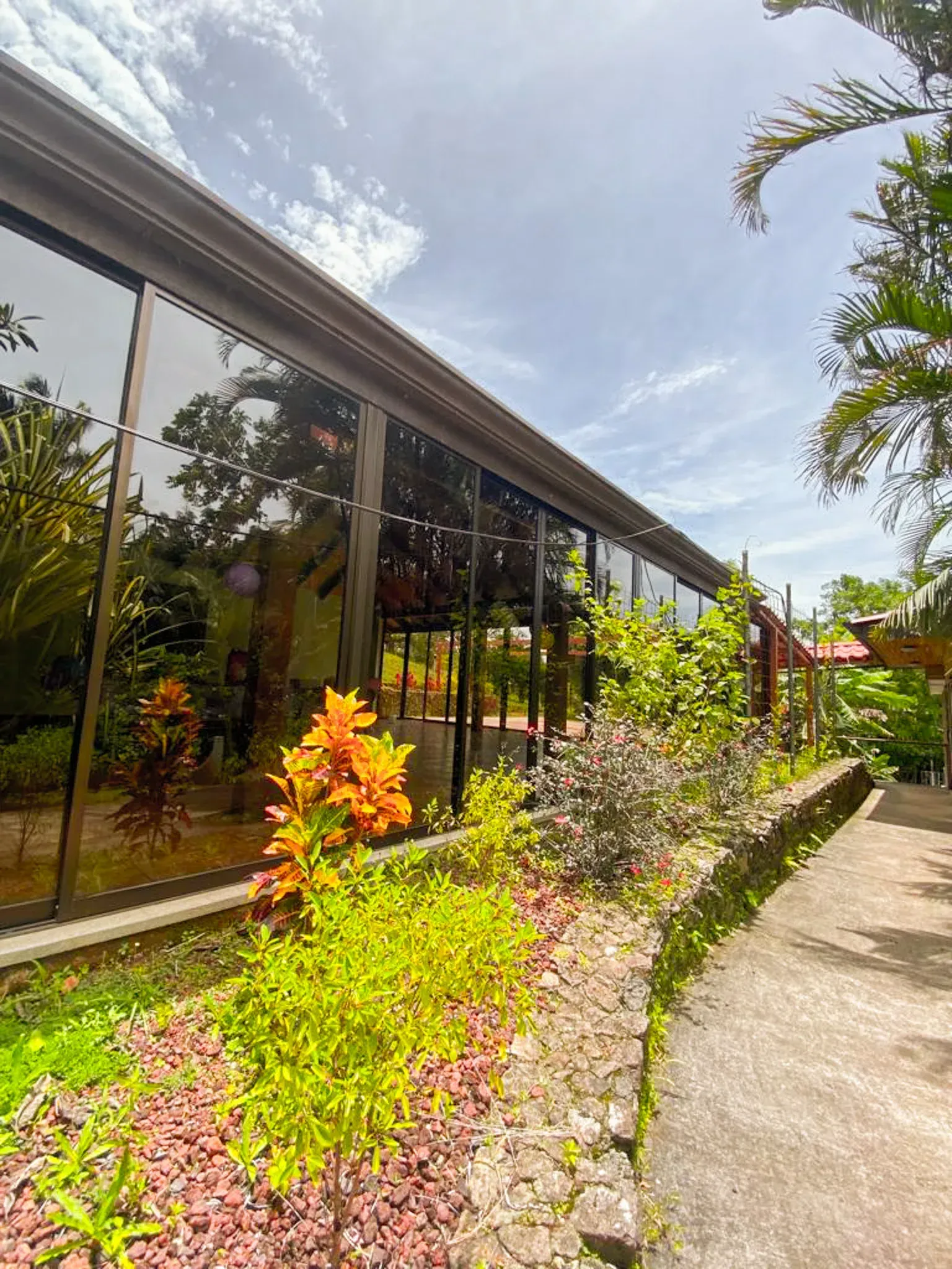 Modern glass-front building beside a landscaped garden with colorful plants and a curved path under a bright sky
