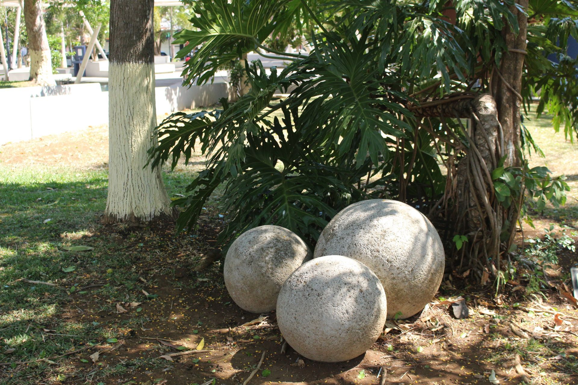 Tres esferas de piedra sobre el césped bajo un árbol en una zona sombreada del jardín.
