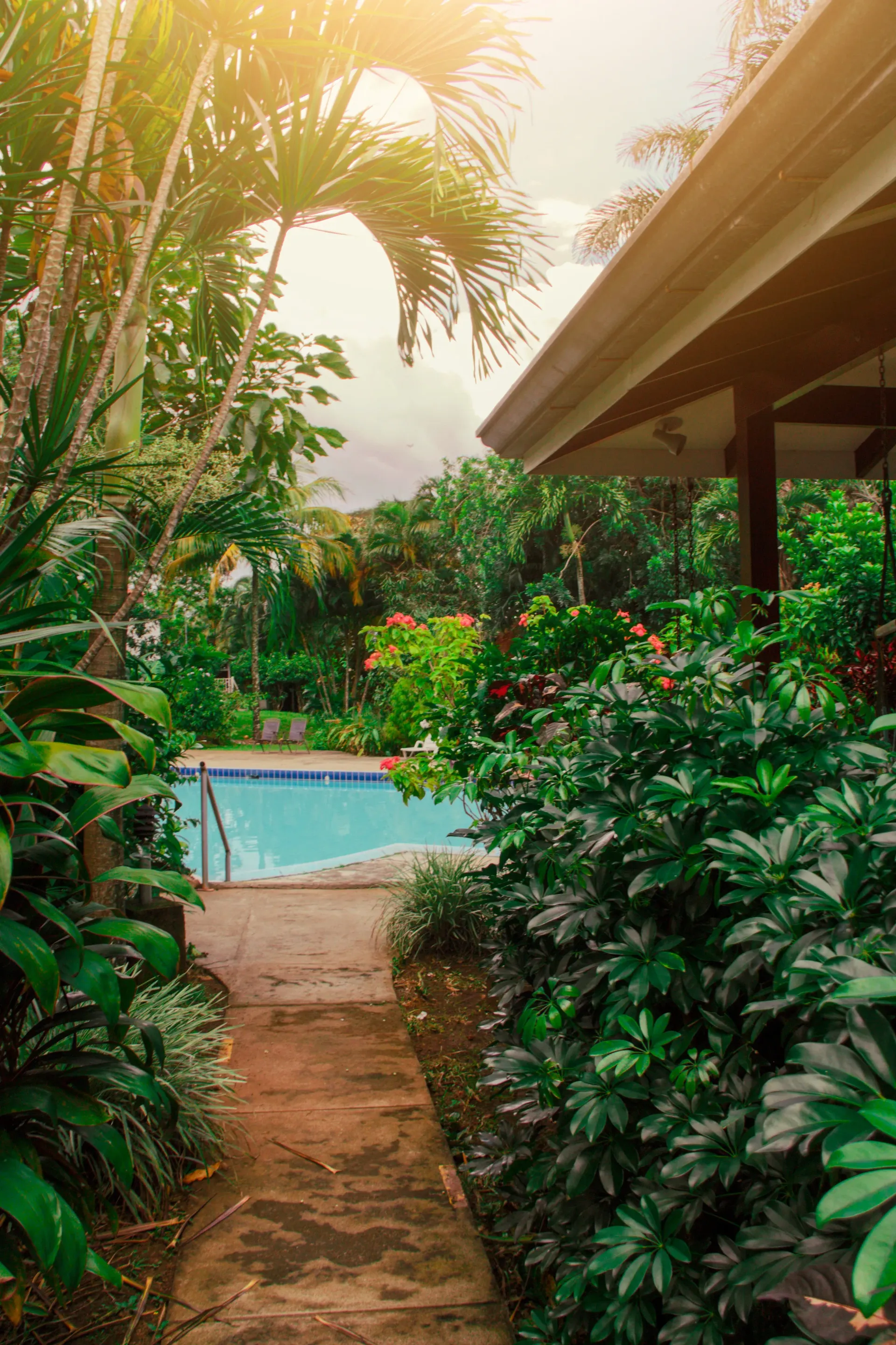 Un sendero de jardín tropical conduce a una pequeña piscina azul junto a una casa