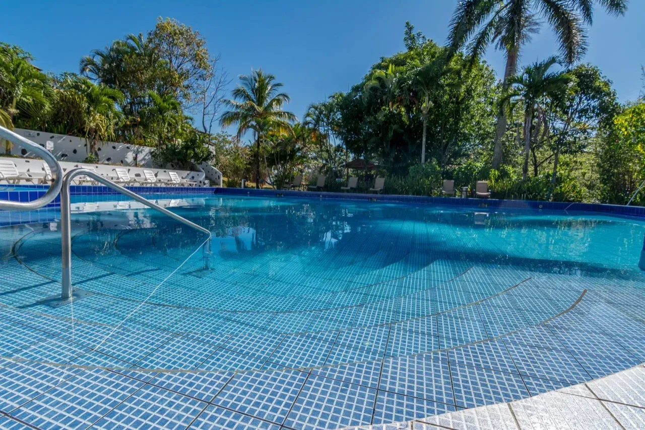 Piscina con azulejos azules, agua cristalina, barandilla de metal y palmeras bajo un cielo soleado.