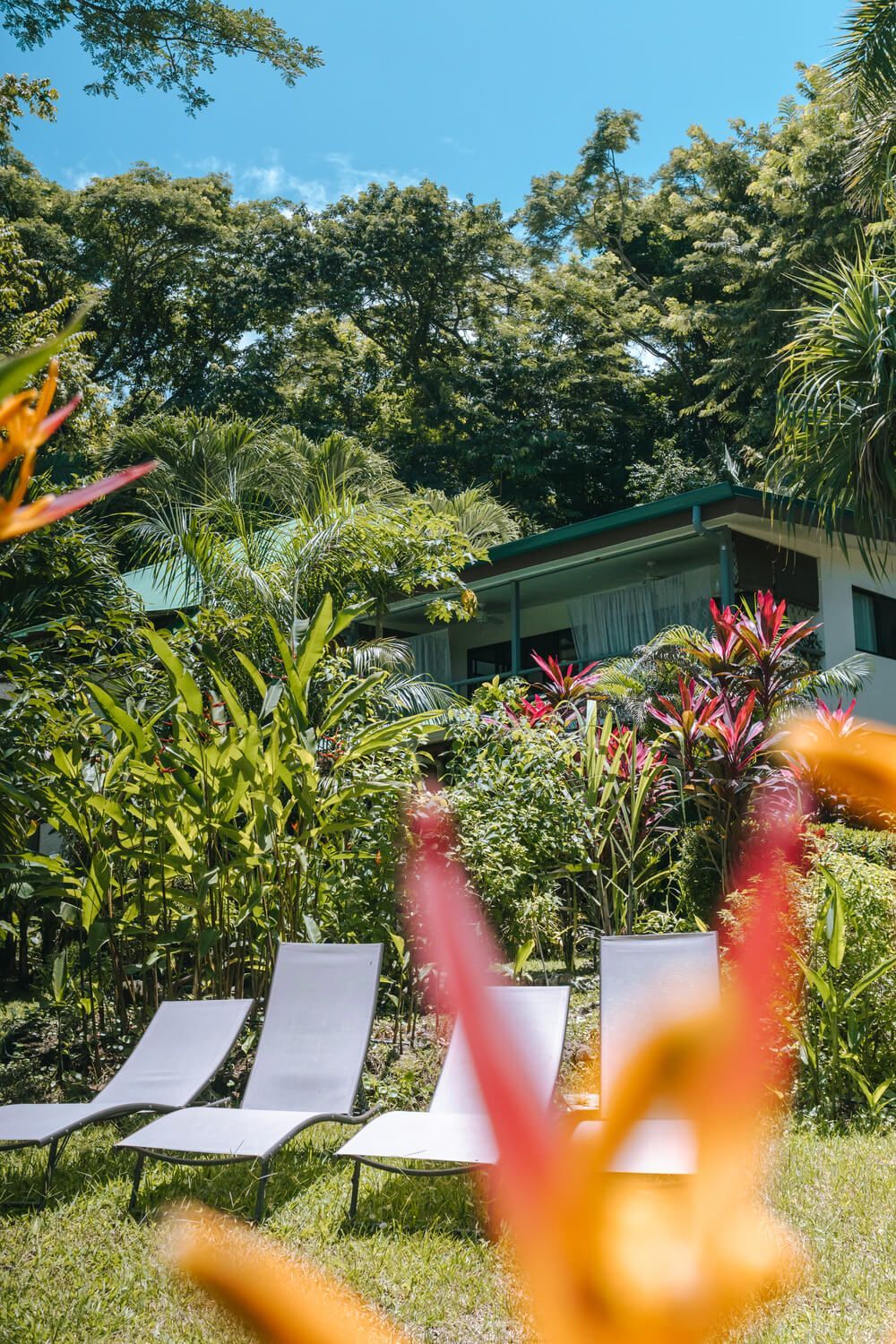 Lounge chairs on a lawn with colorful flowers, lush greenery, and a building under a blue sky.