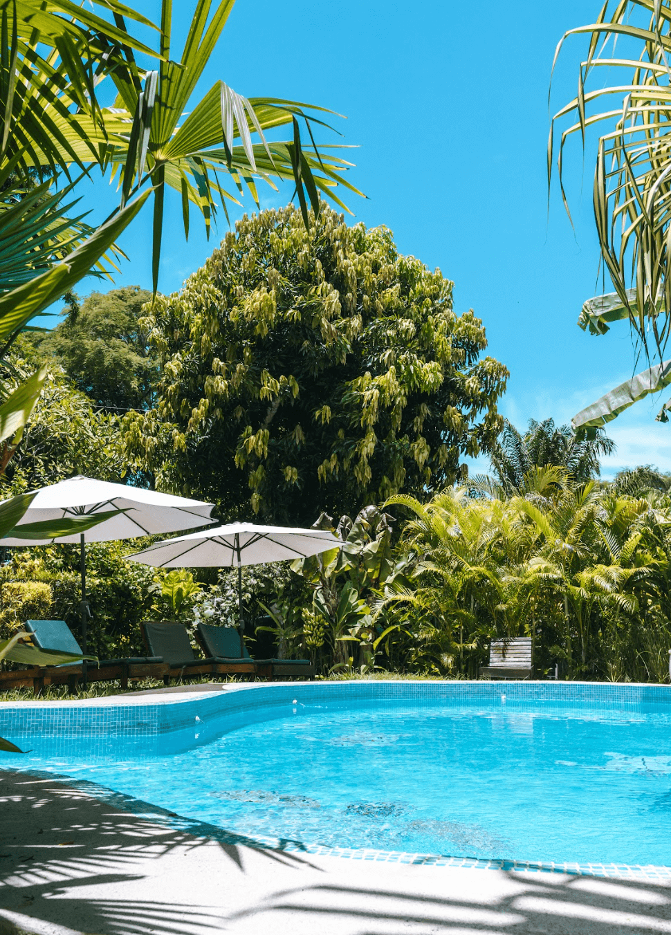 Pool with lounge chairs and umbrellas, surrounded by lush tropical vegetation. Bright blue sky.
