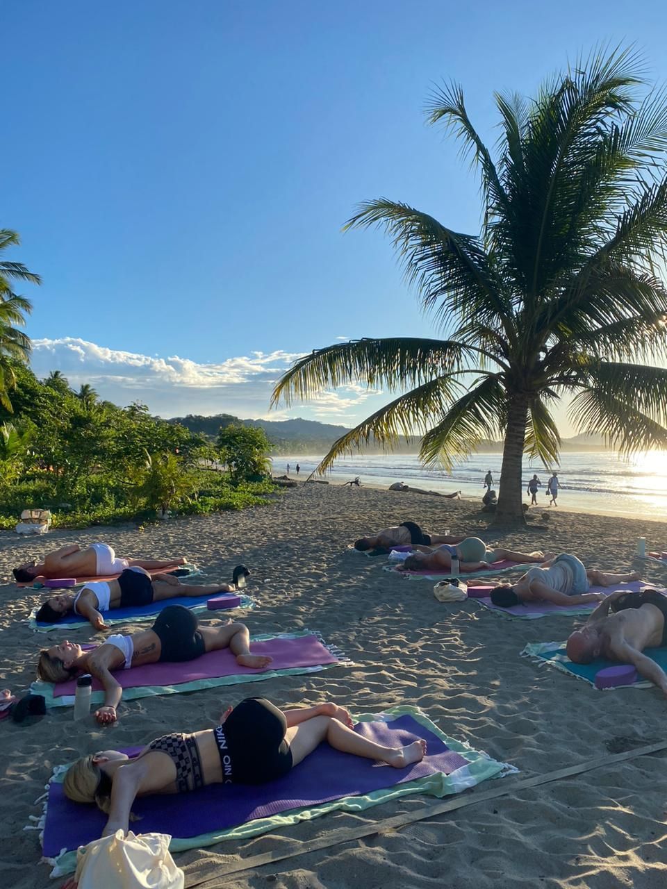People doing yoga on beach mats, near ocean under palm tree.