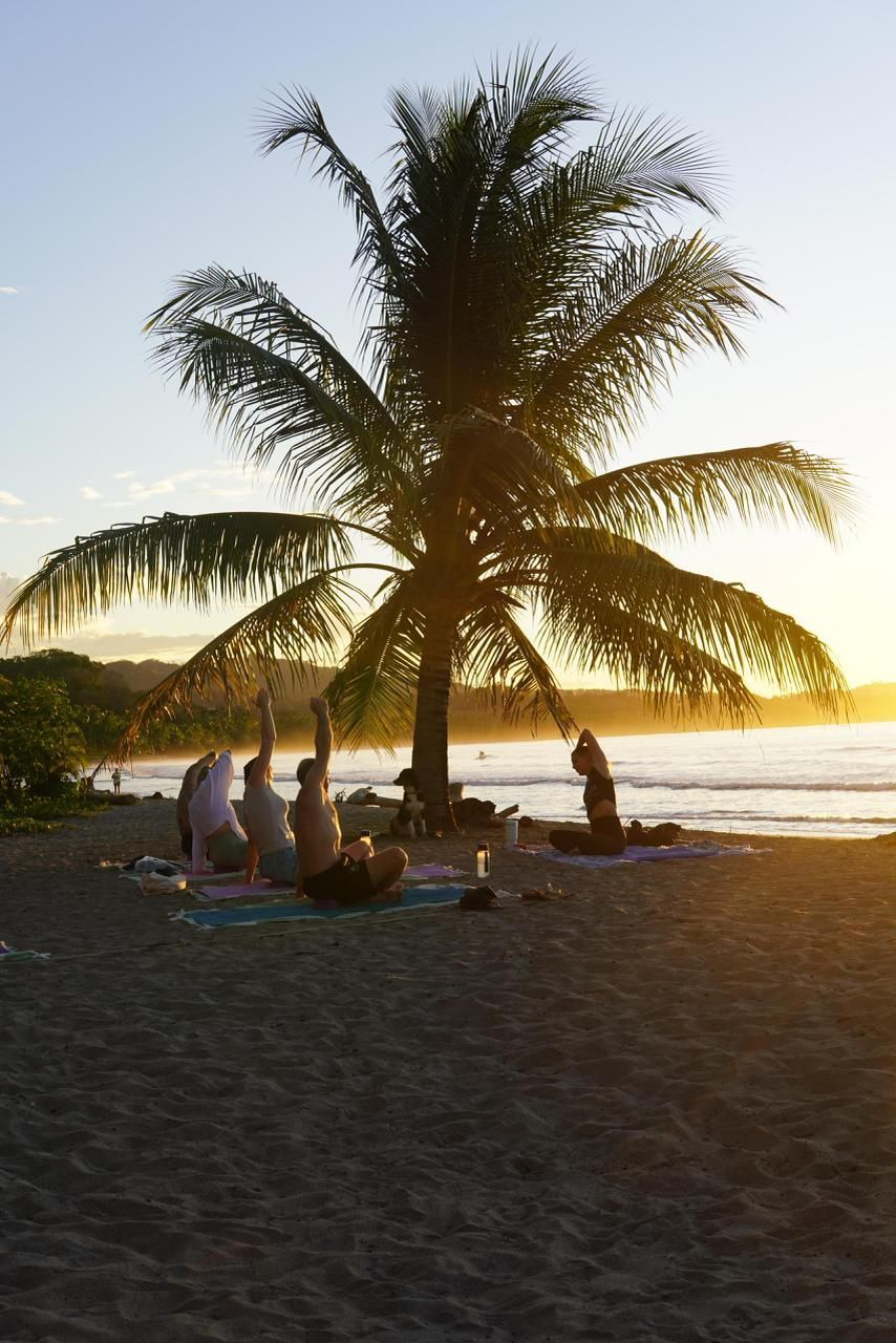 People practicing yoga on a beach under a palm tree at sunset.