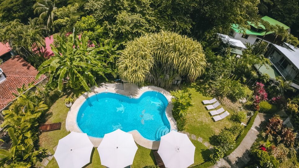 Aerial view of a swimming pool surrounded by greenery and white umbrellas.