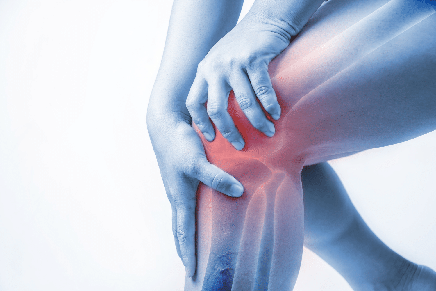 Knee Rehabilitation