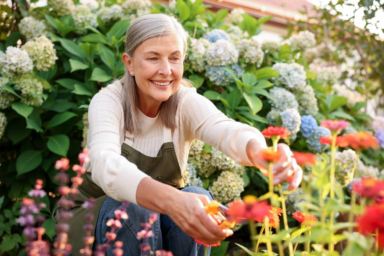 Gardener pruning orange flowers in a lush garden with blooming hydrangeas