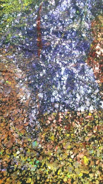 Fondo Textil