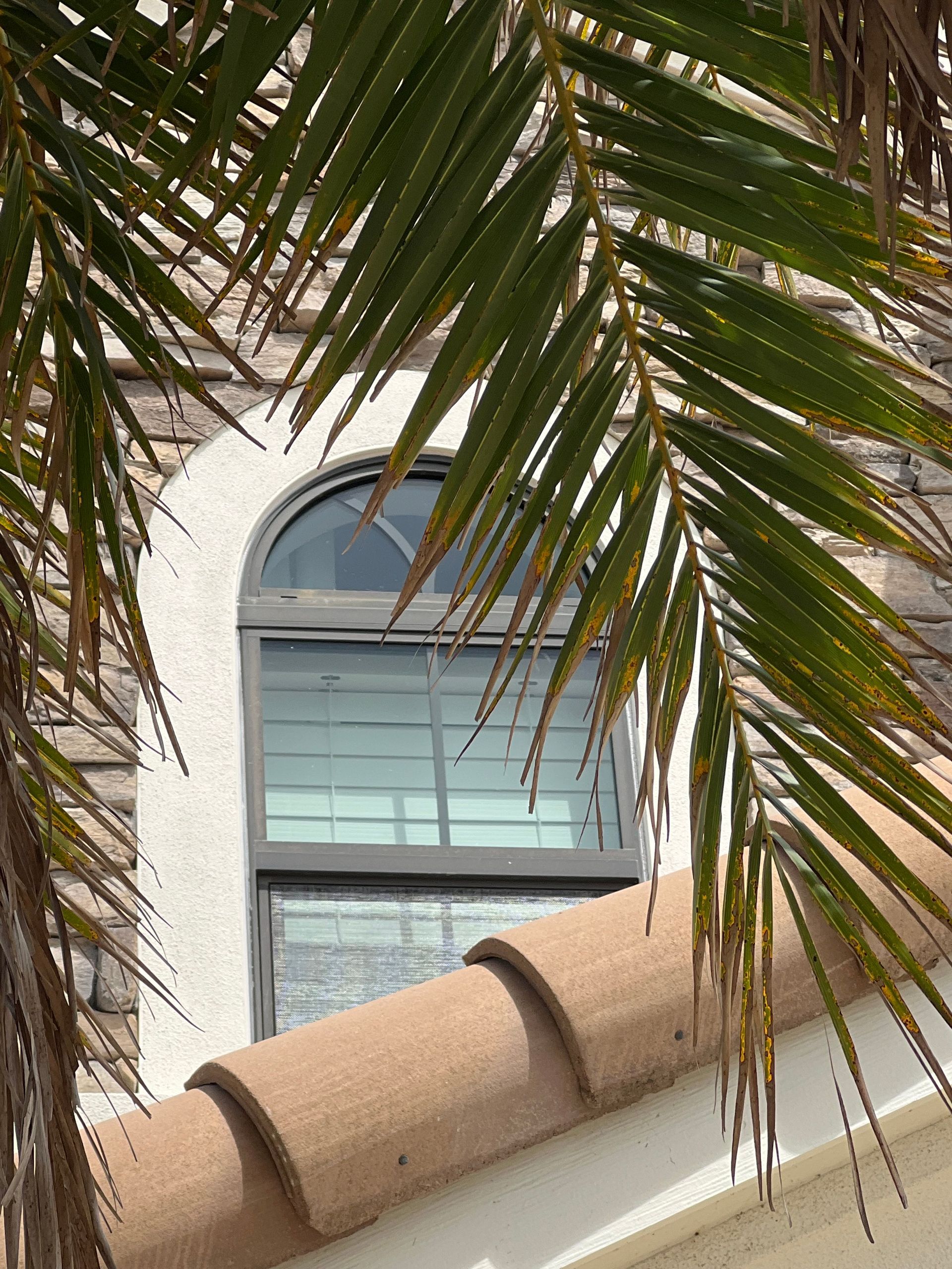 Routes to Services - wind mitigation Inspections details