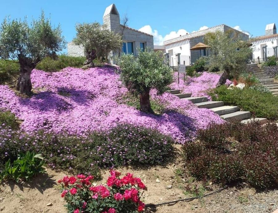 giardino
