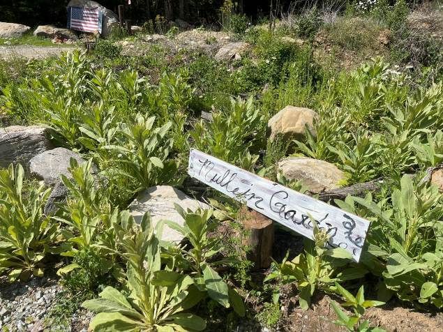 A sign is sitting in the middle of a garden surrounded by plants and rocks.