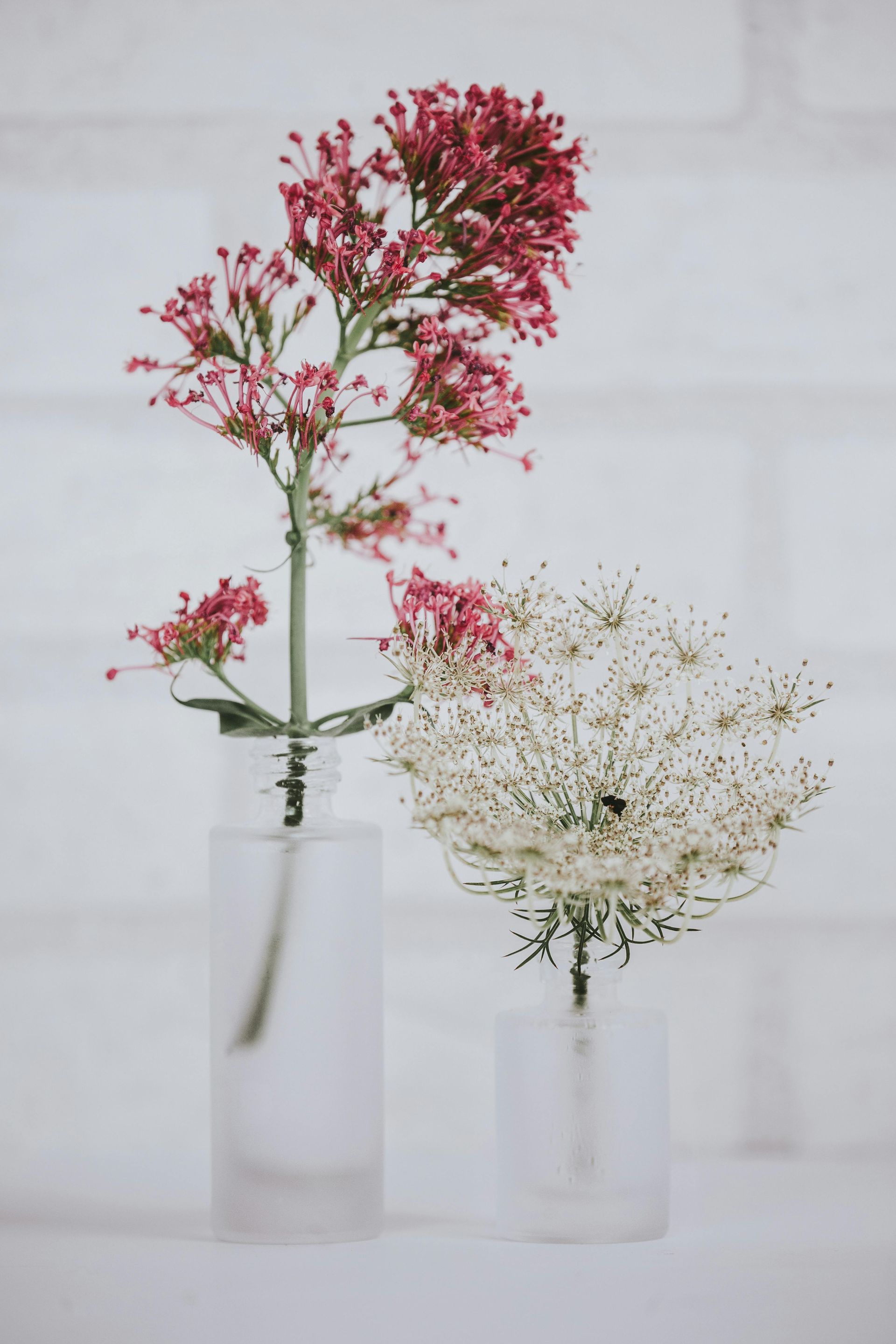 Two vases filled with pink and white flowers are sitting on a table.