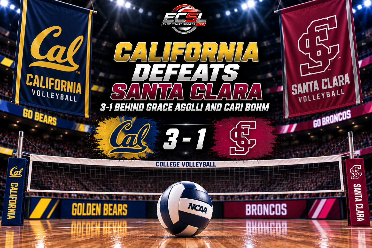 volleyball team's logo and score