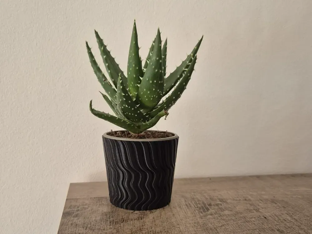 12 cm pot