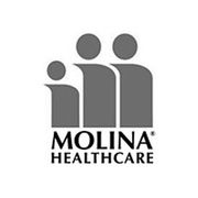 Molina Healthcare logo with three gray figures above black text
