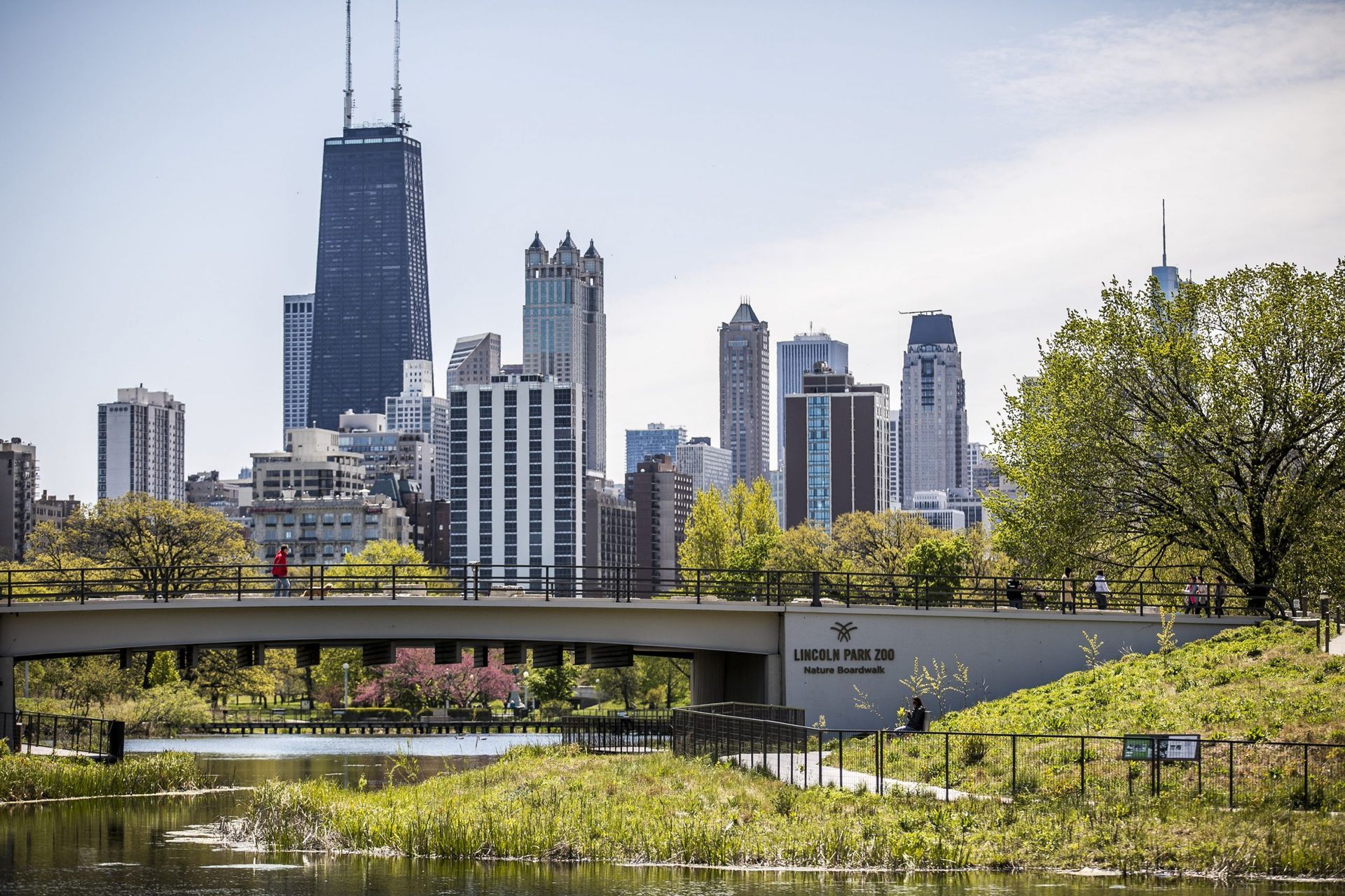 Lincoln Park skyscrapers