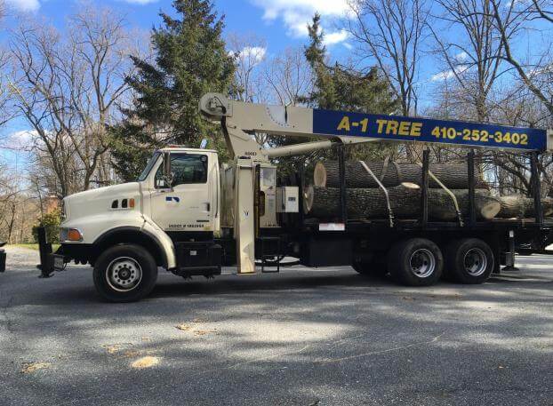 A white truck with a blue sign that says a-1 tree