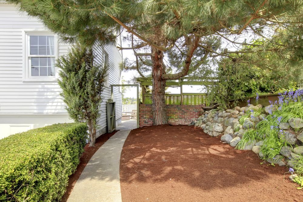 A walkway leading to a house with a tree in the background.