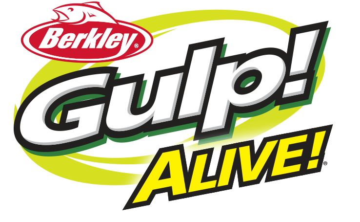 Gulp