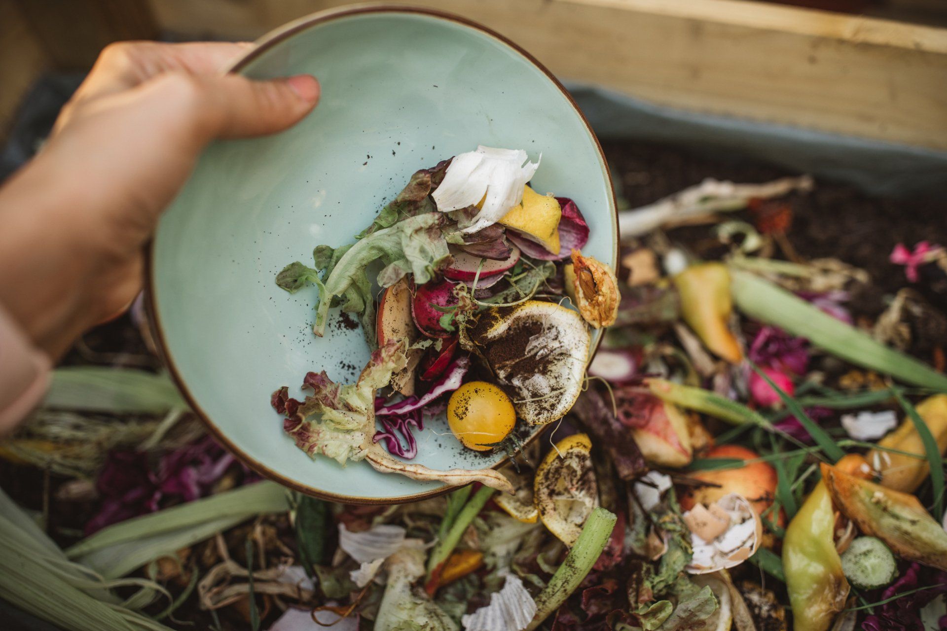 Food Waste — Melbourne, VIC — All Ready Bulk Bins